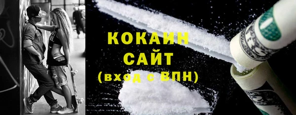 соль ск Инсар