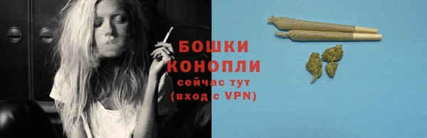 индика Зерноград