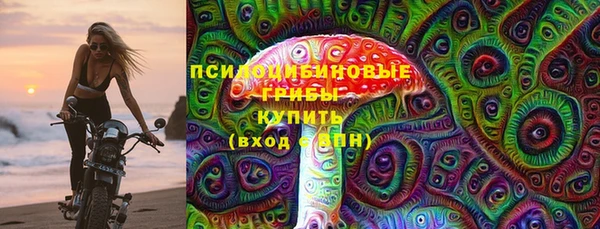 индика Зерноград