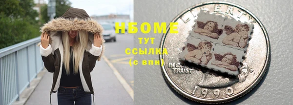 индика Зерноград
